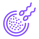 category-icon