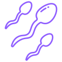 category-icon